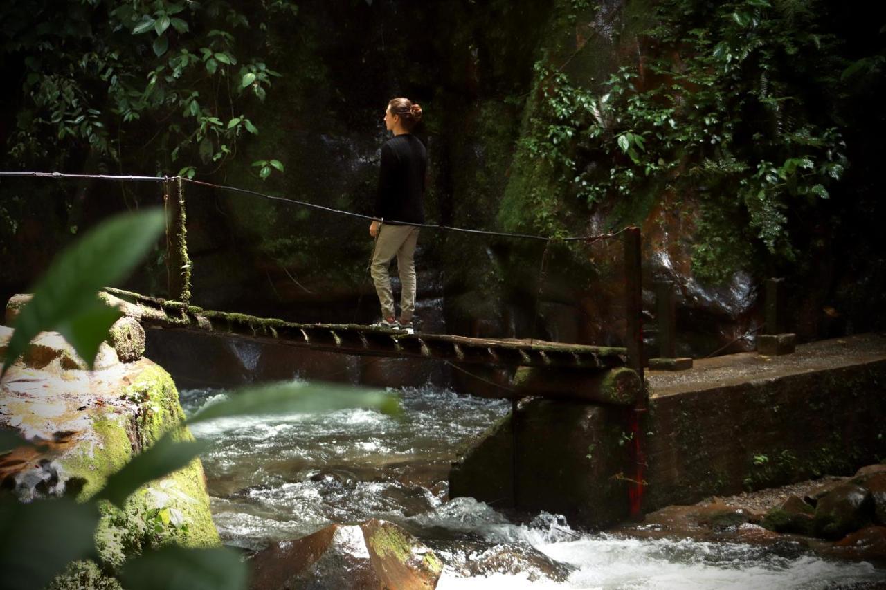 La Cabana Ecohotel - Valle Del Cocora サレント エクステリア 写真