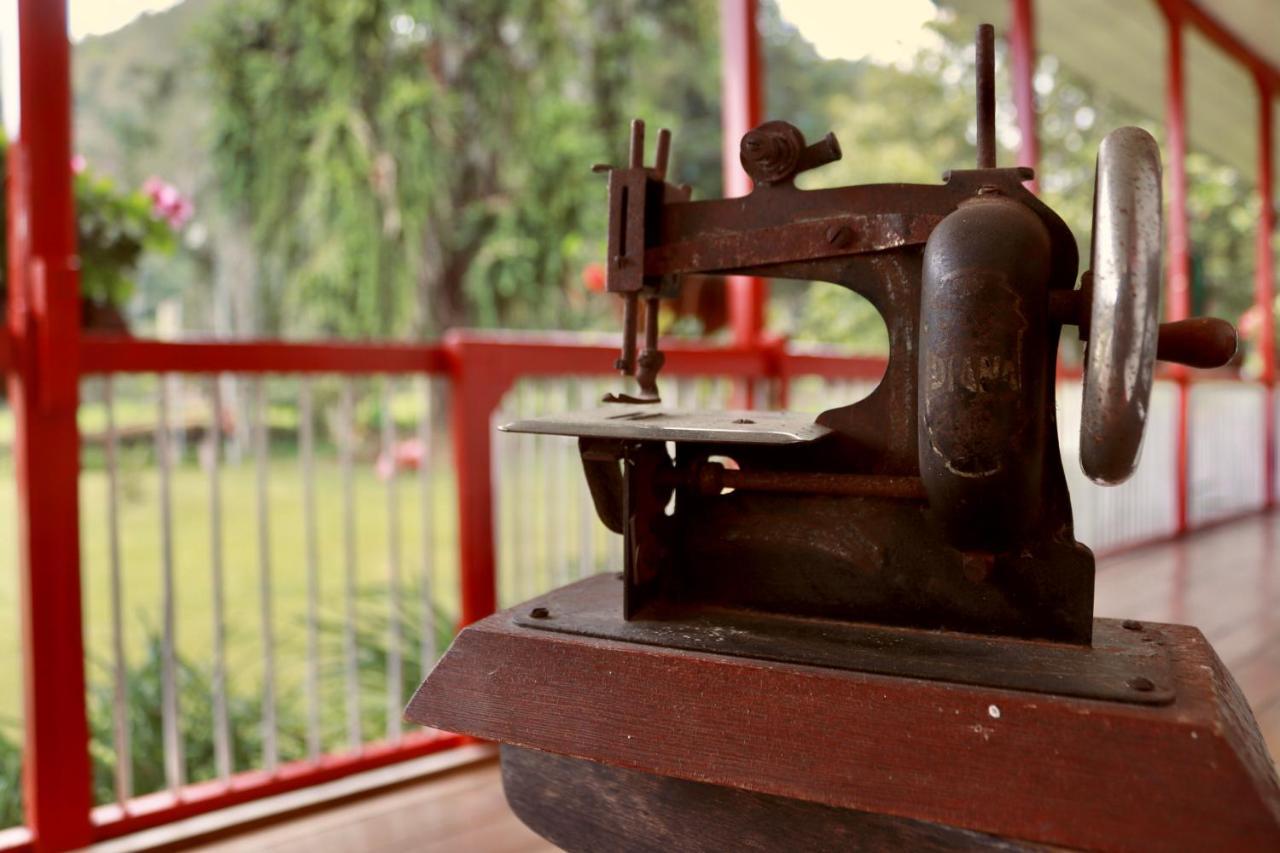 La Cabana Ecohotel - Valle Del Cocora サレント エクステリア 写真
