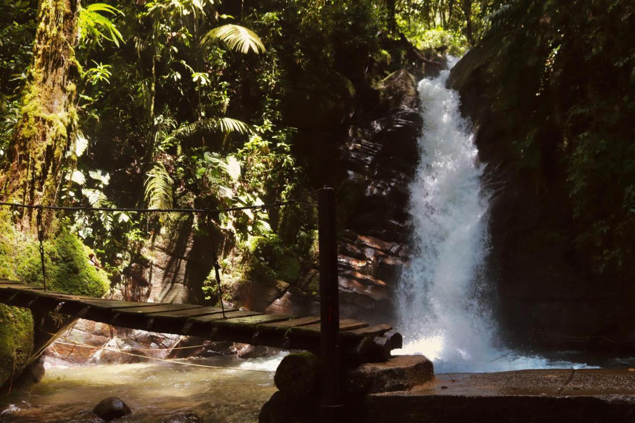 La Cabana Ecohotel - Valle Del Cocora サレント エクステリア 写真