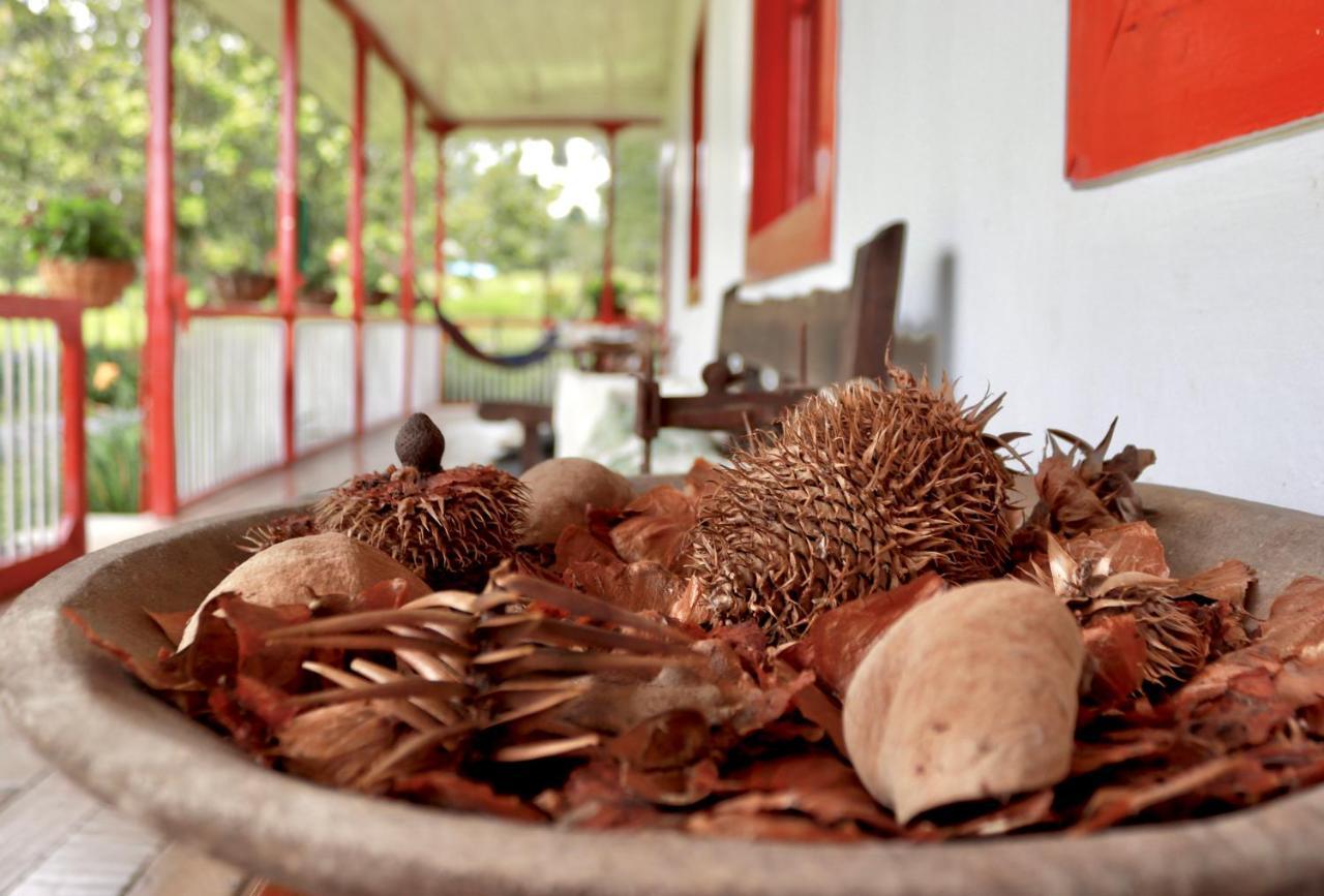 La Cabana Ecohotel - Valle Del Cocora サレント エクステリア 写真