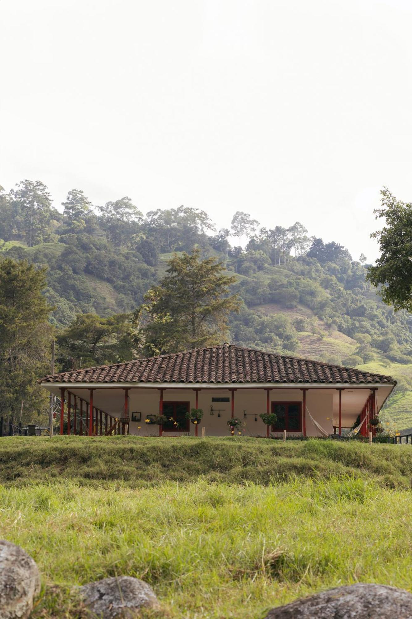 La Cabana Ecohotel - Valle Del Cocora サレント エクステリア 写真