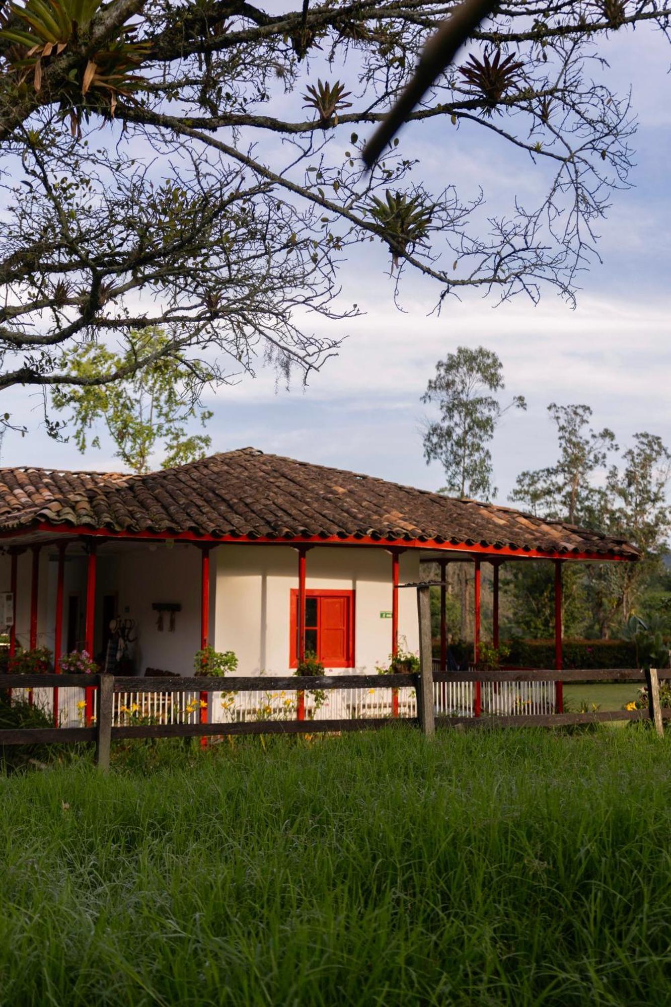 La Cabana Ecohotel - Valle Del Cocora サレント エクステリア 写真