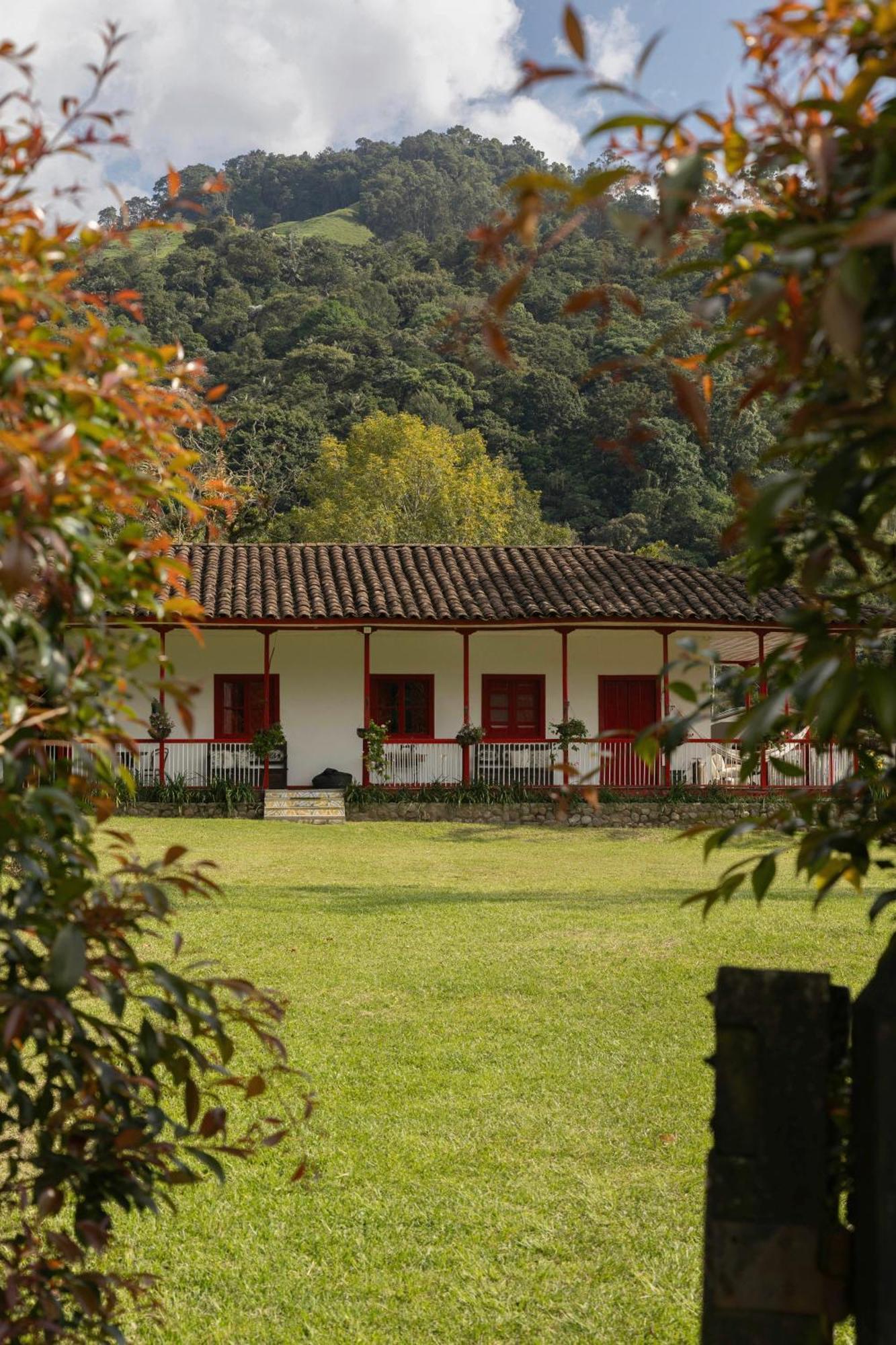 La Cabana Ecohotel - Valle Del Cocora サレント エクステリア 写真