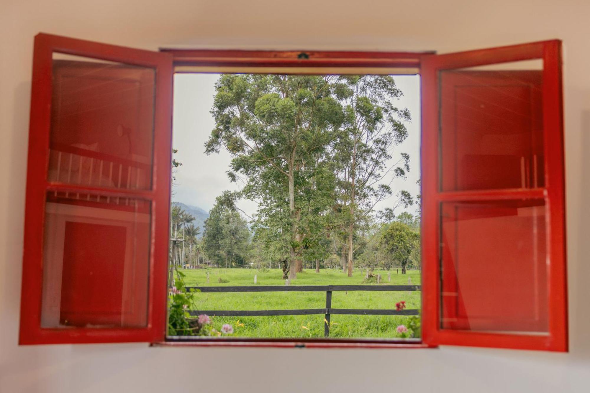La Cabana Ecohotel - Valle Del Cocora サレント 部屋 写真